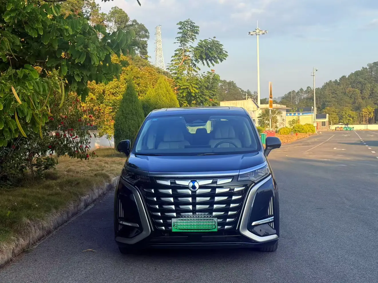 Denza D9 DM  из Китая