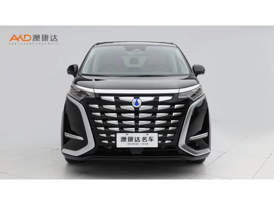 Denza D9 DM  из Китая