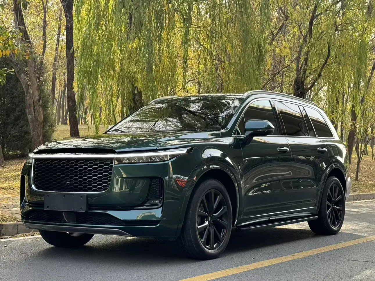 Li ONE (Ideal ONE)  из Китая