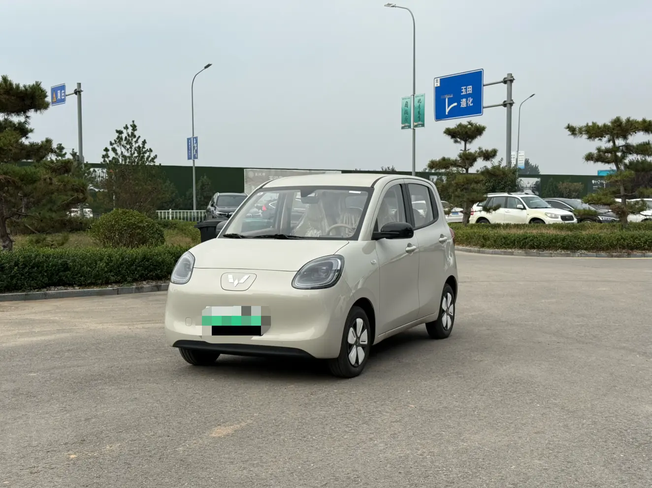 Wuling Hongguang MINIEV  из Китая