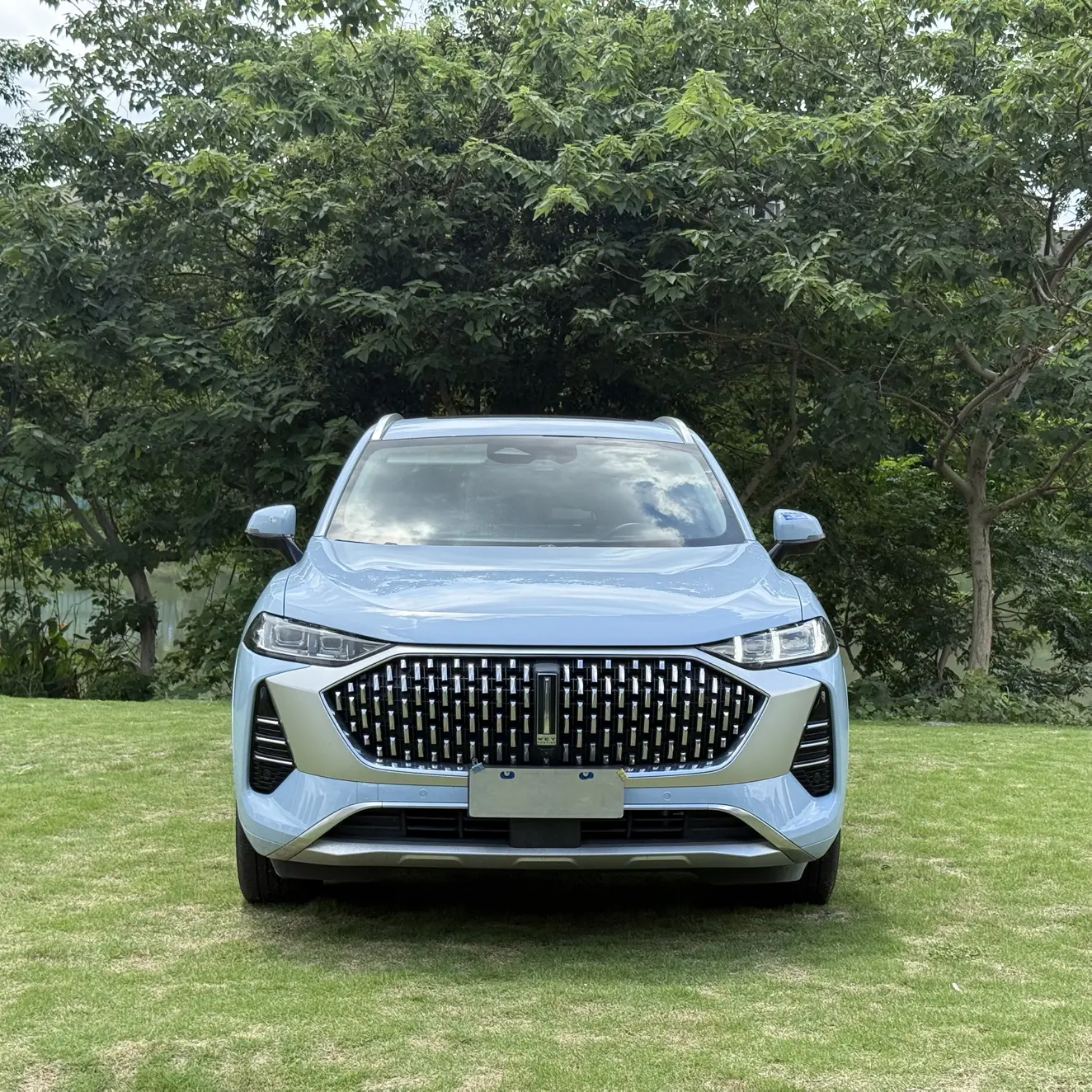 Wey Mocha  из Китая