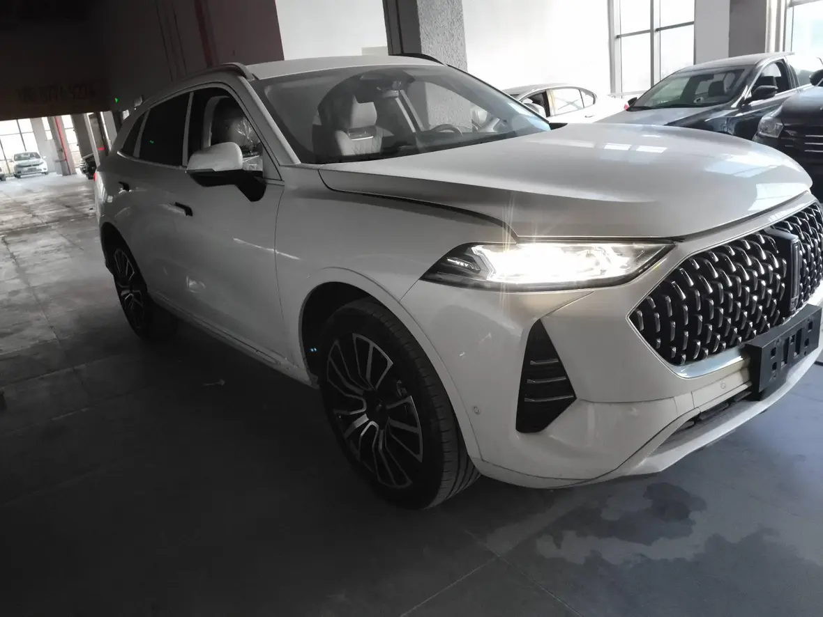 Wey Mocha  из Китая