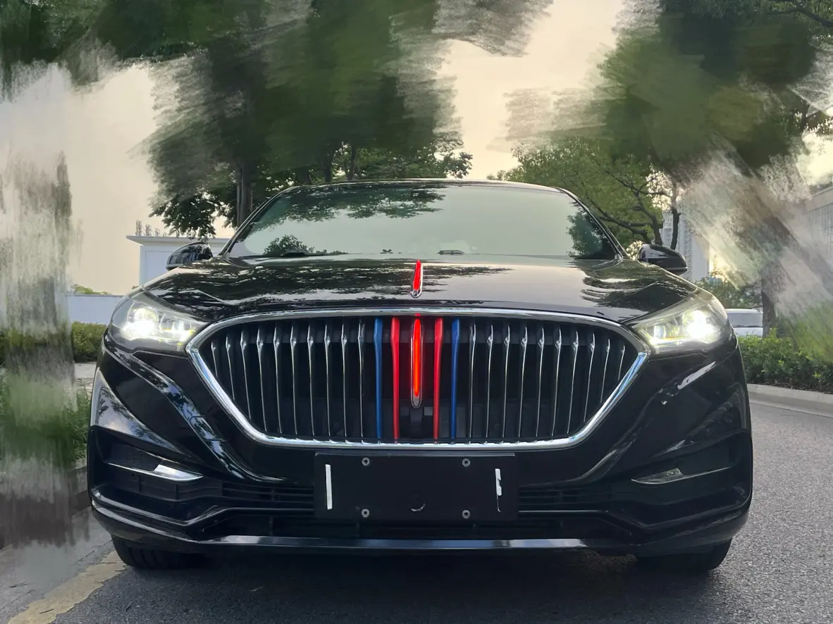 Hongqi H5 classic  из Китая