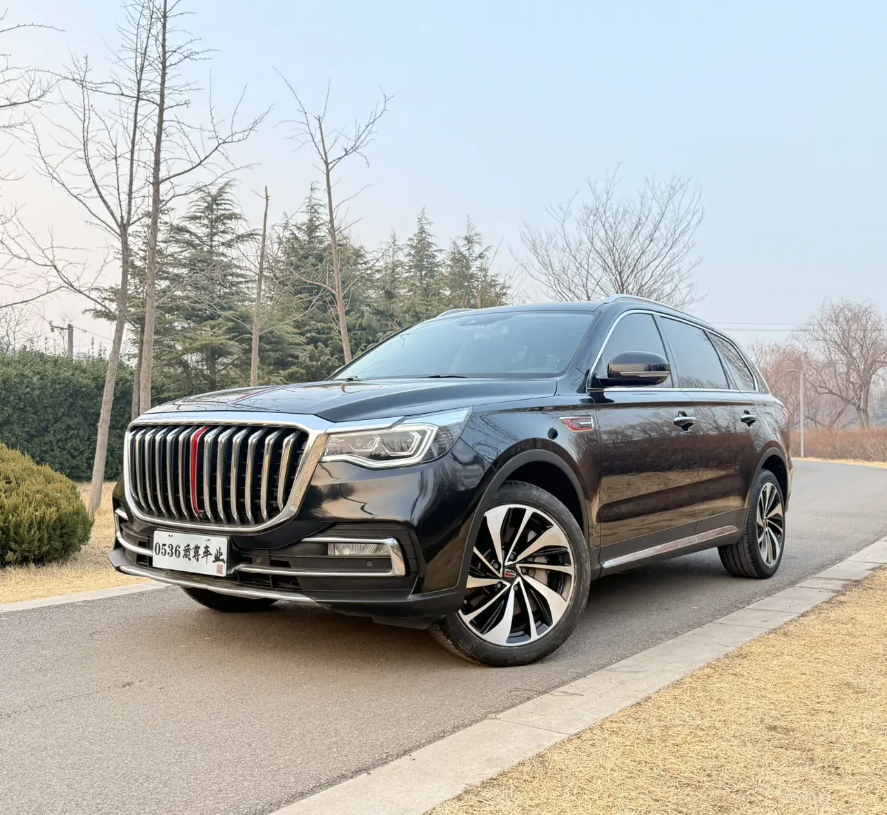 Hongqi HS7  из Китая