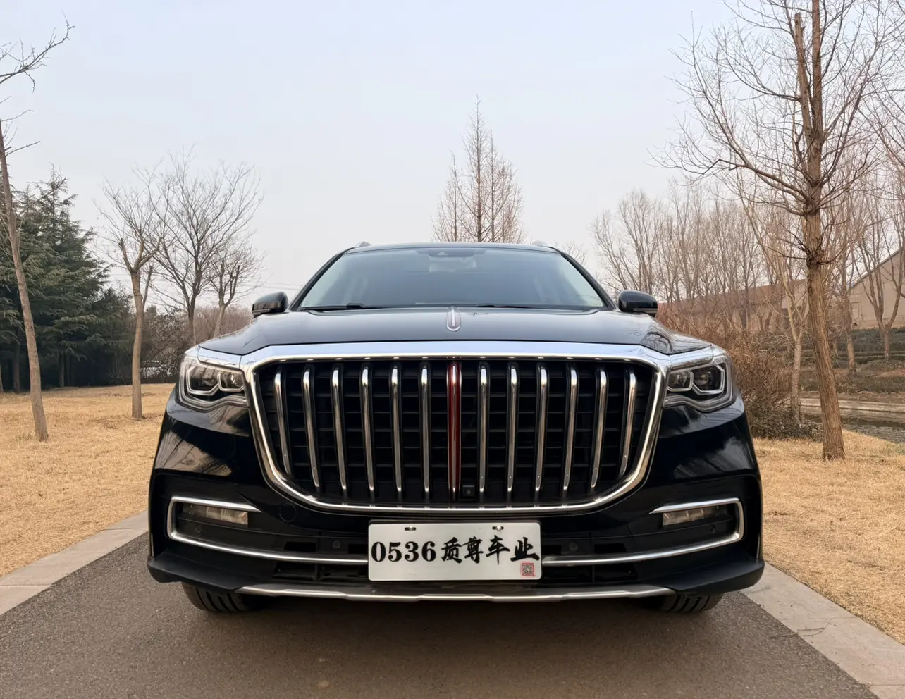 Hongqi HS7  из Китая