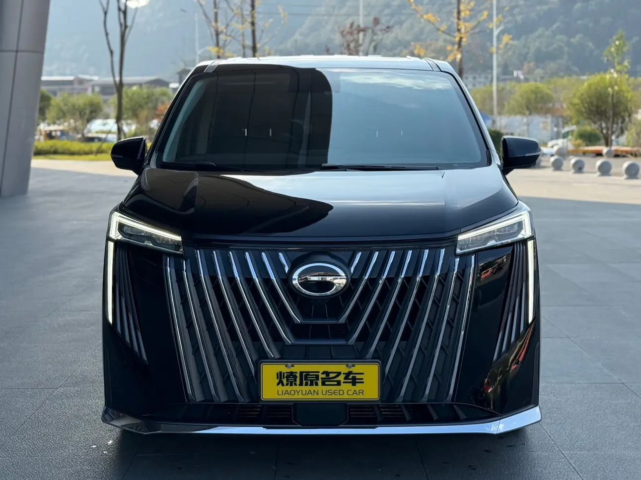 GAC Trumpchi M8  из Китая