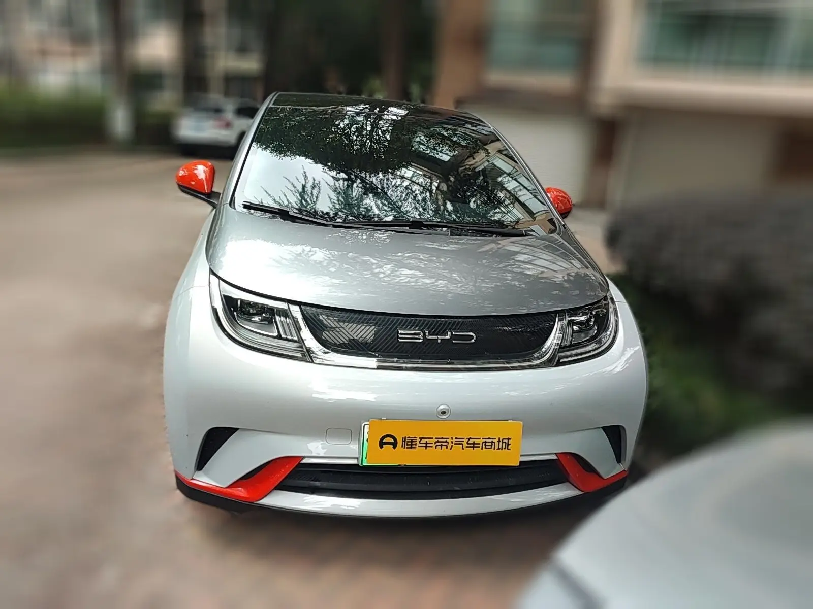 BYD Dolphin  из Китая