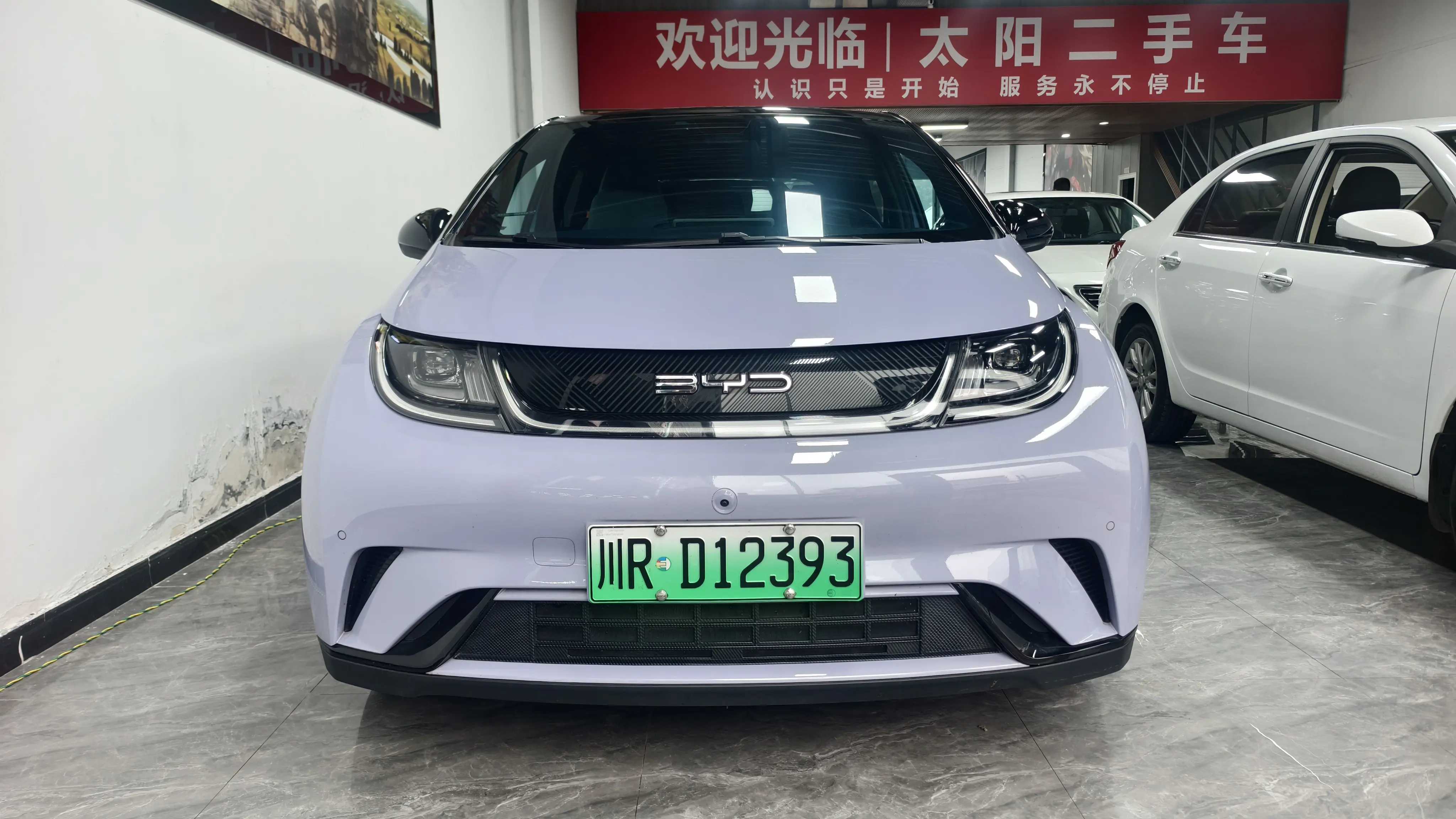 BYD Dolphin  из Китая