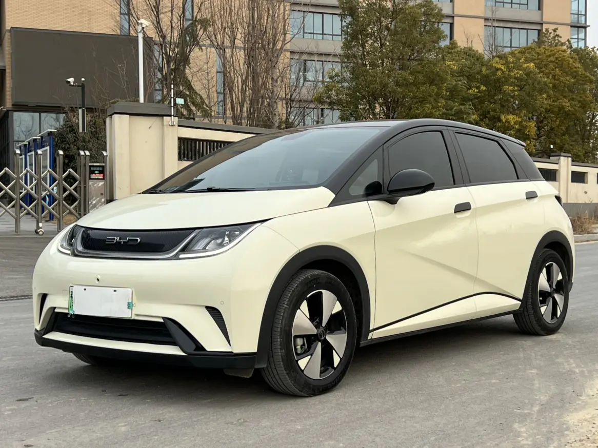 BYD Dolphin  из Китая