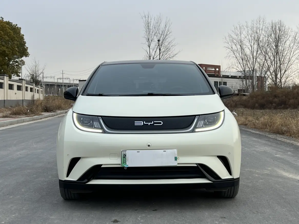 BYD Dolphin  из Китая
