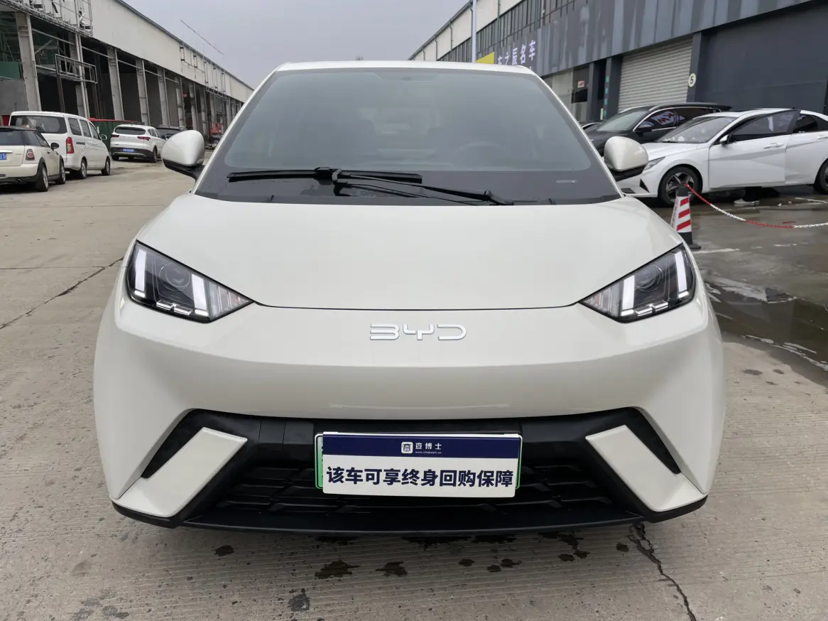 BYD Seagull  из Китая