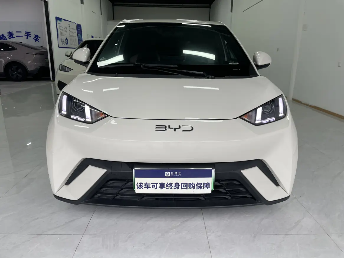 BYD Seagull  из Китая