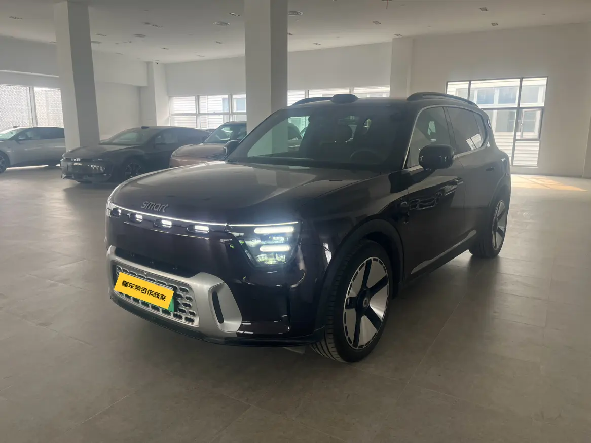 Smart Elf #5  из Китая