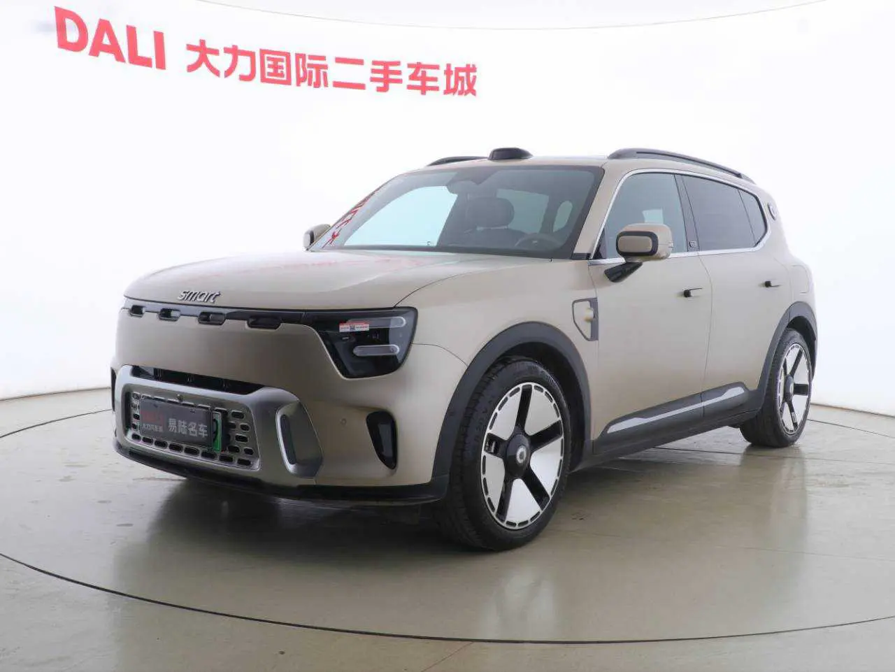 Smart Elf #5  из Китая