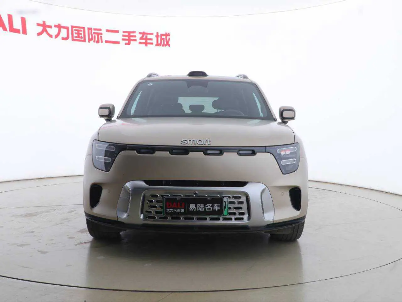 Smart Elf #5  из Китая