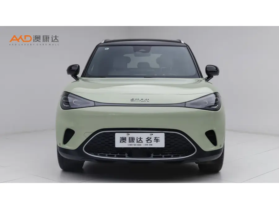 Smart elf #1  из Китая