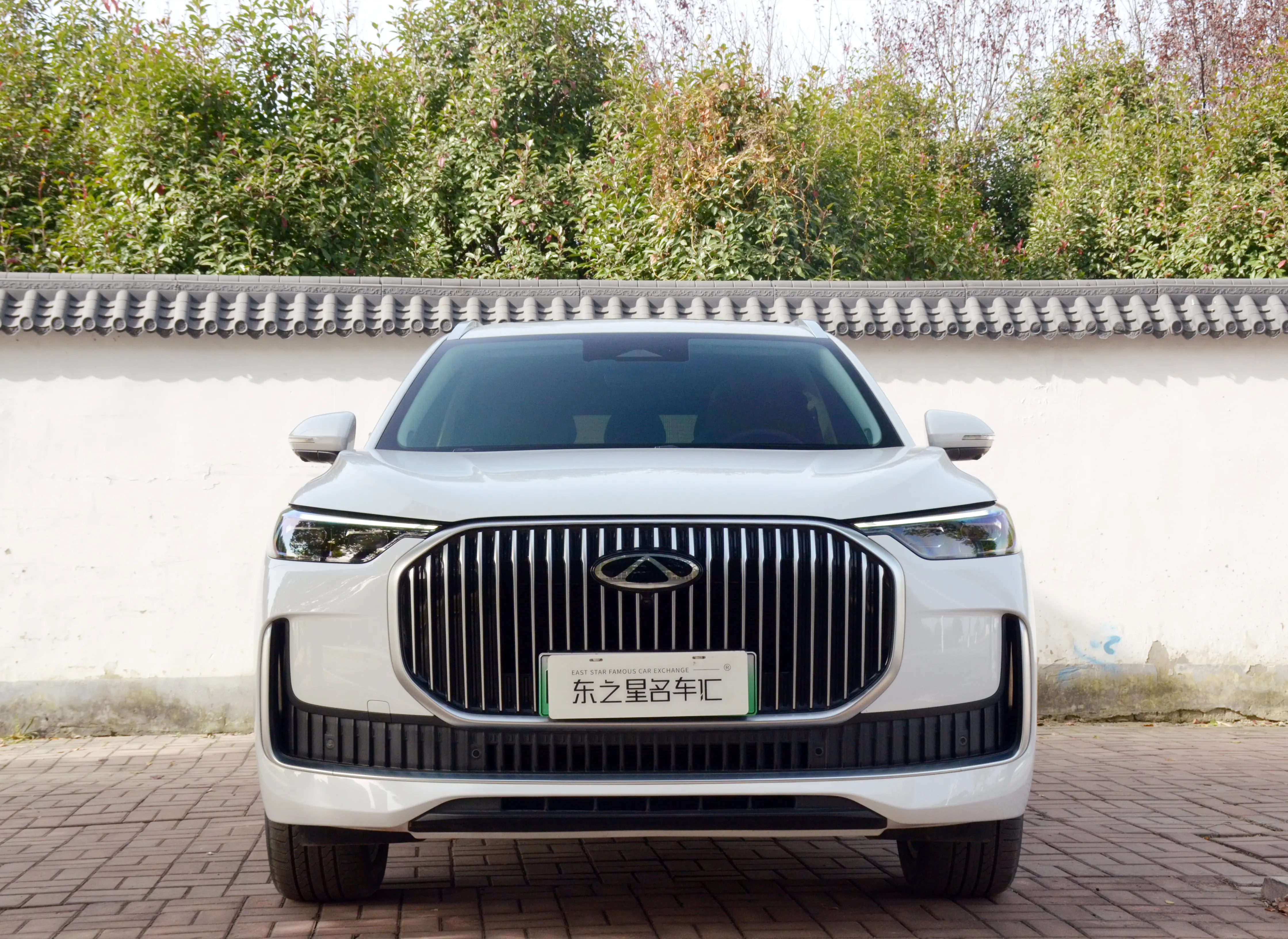 Chery Tiggo 9 C-DM  из Китая