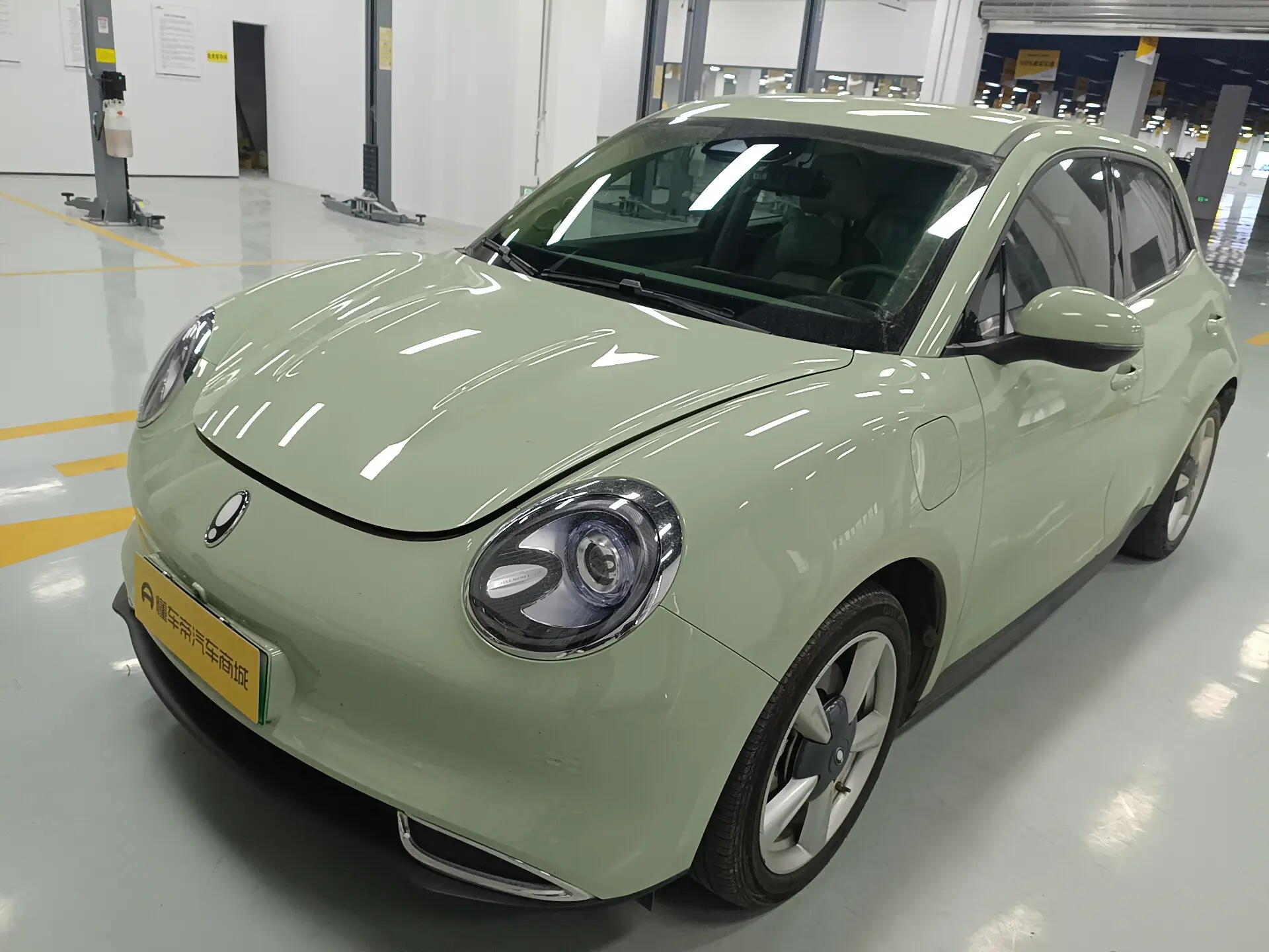 ORA Euler good cat  из Китая