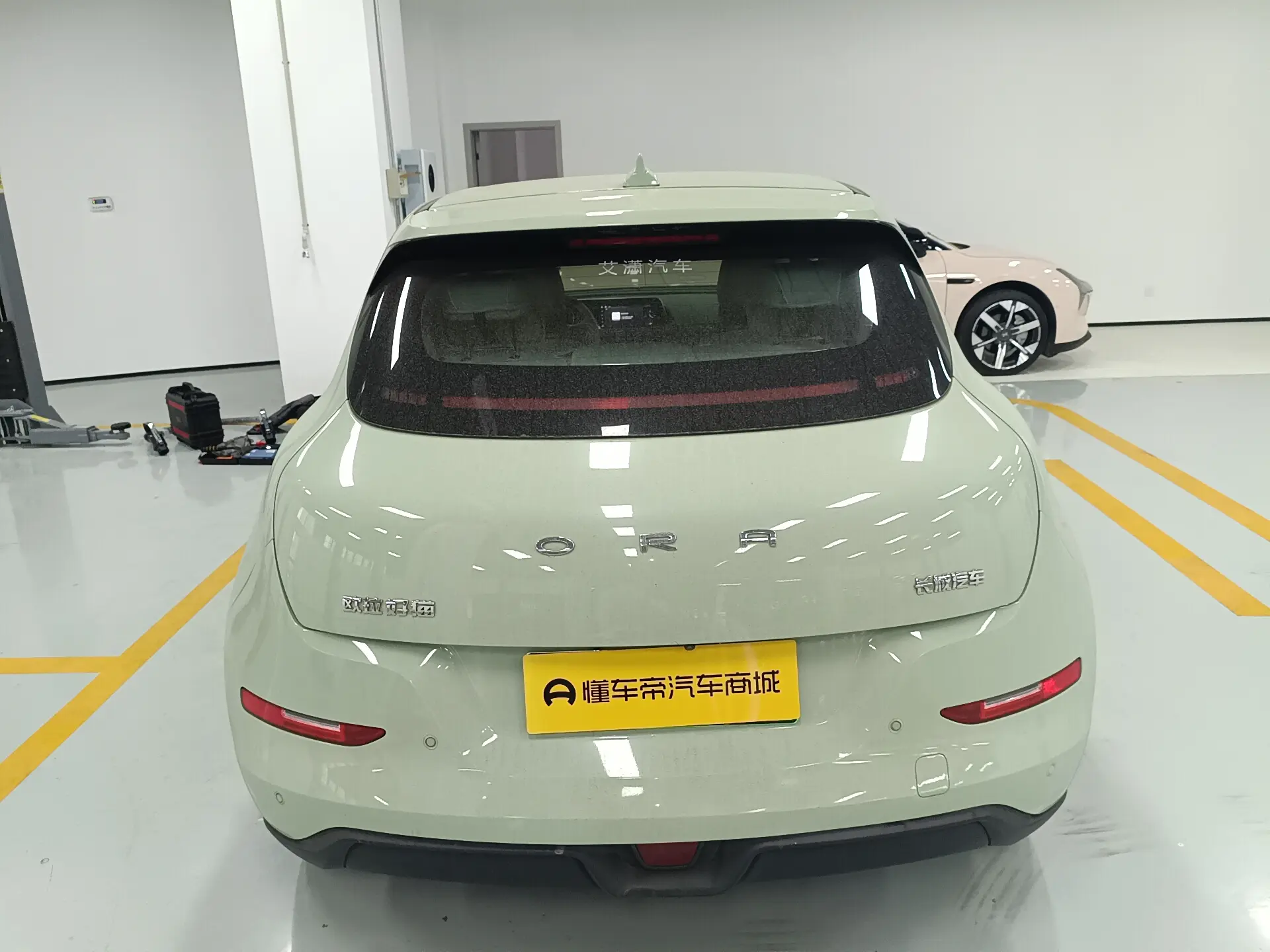 ORA Euler good cat  из Китая