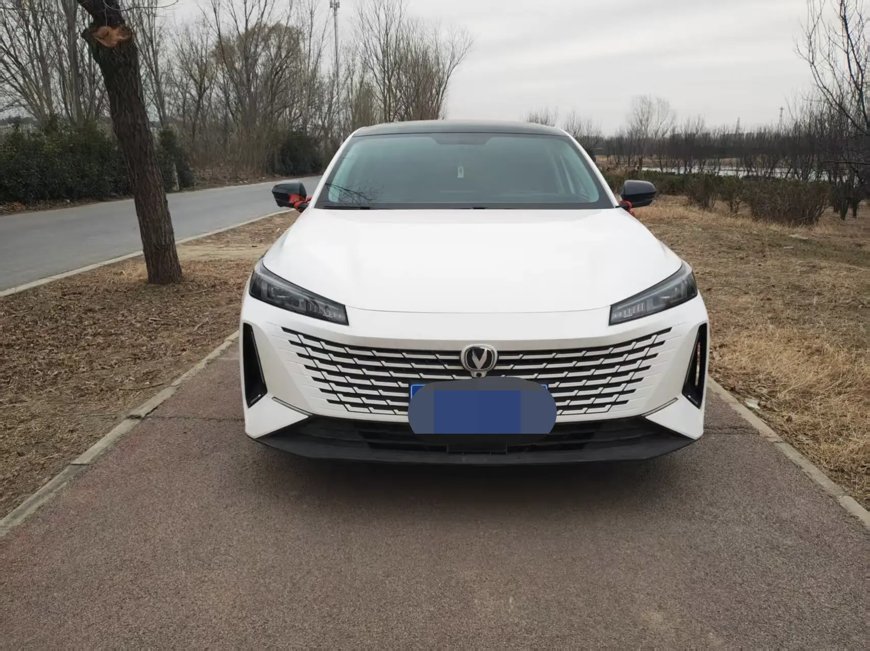 Changan Yida  из Китая