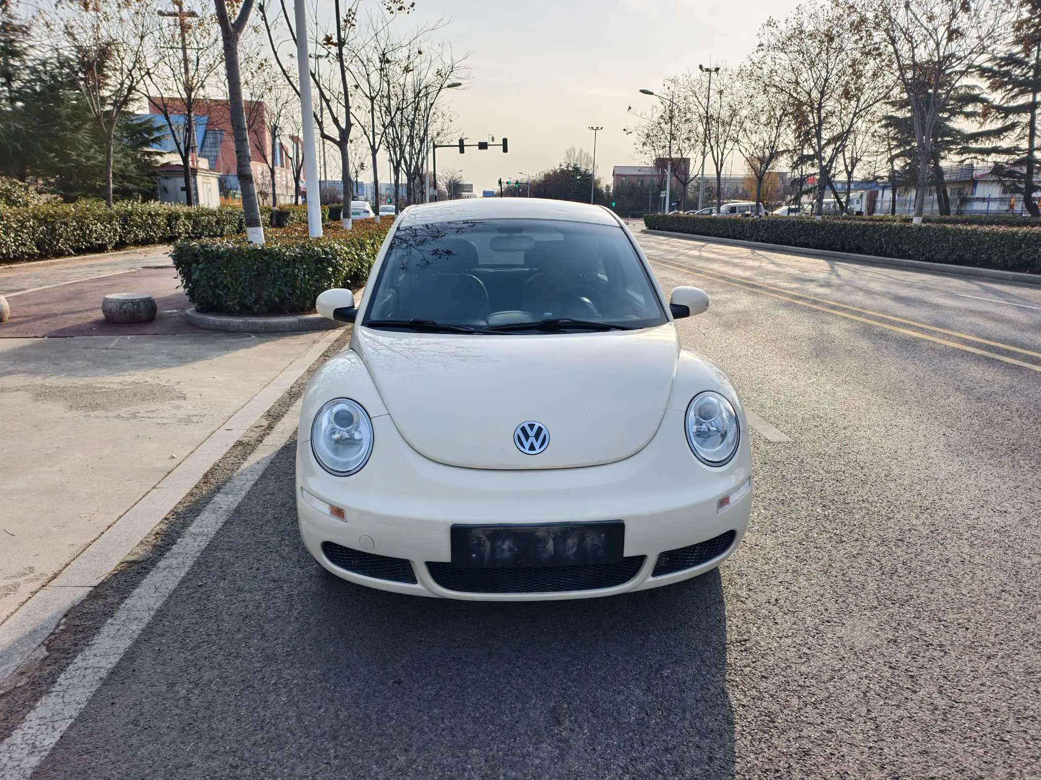Volkswagen Beetle  из Китая
