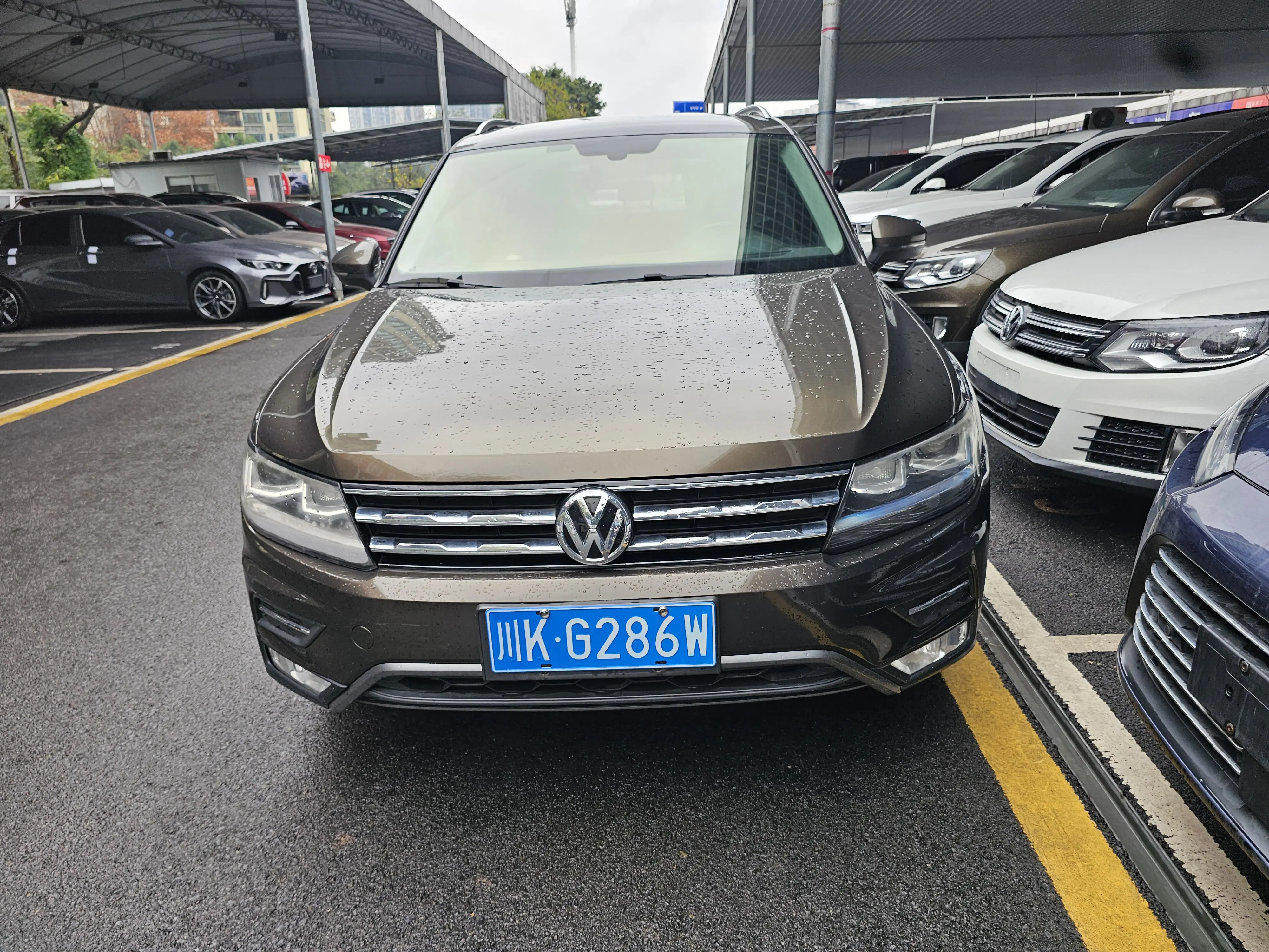 Volkswagen Tiguan L  из Китая