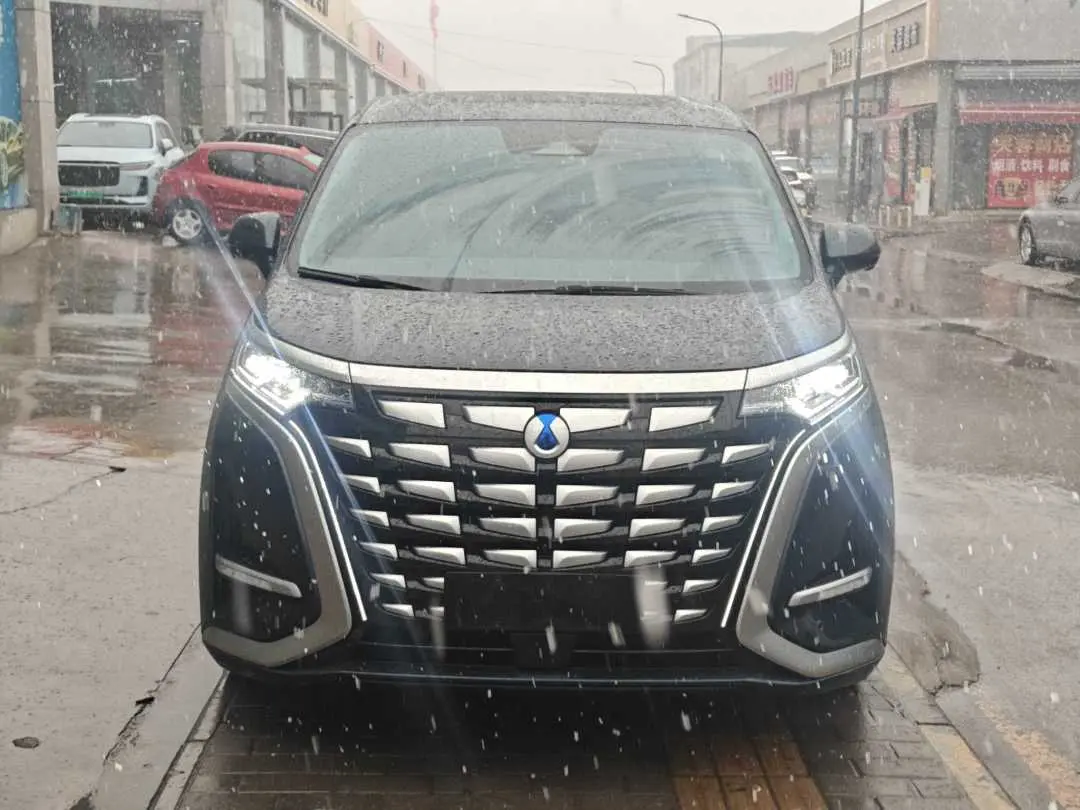 Denza D9 DM  из Китая