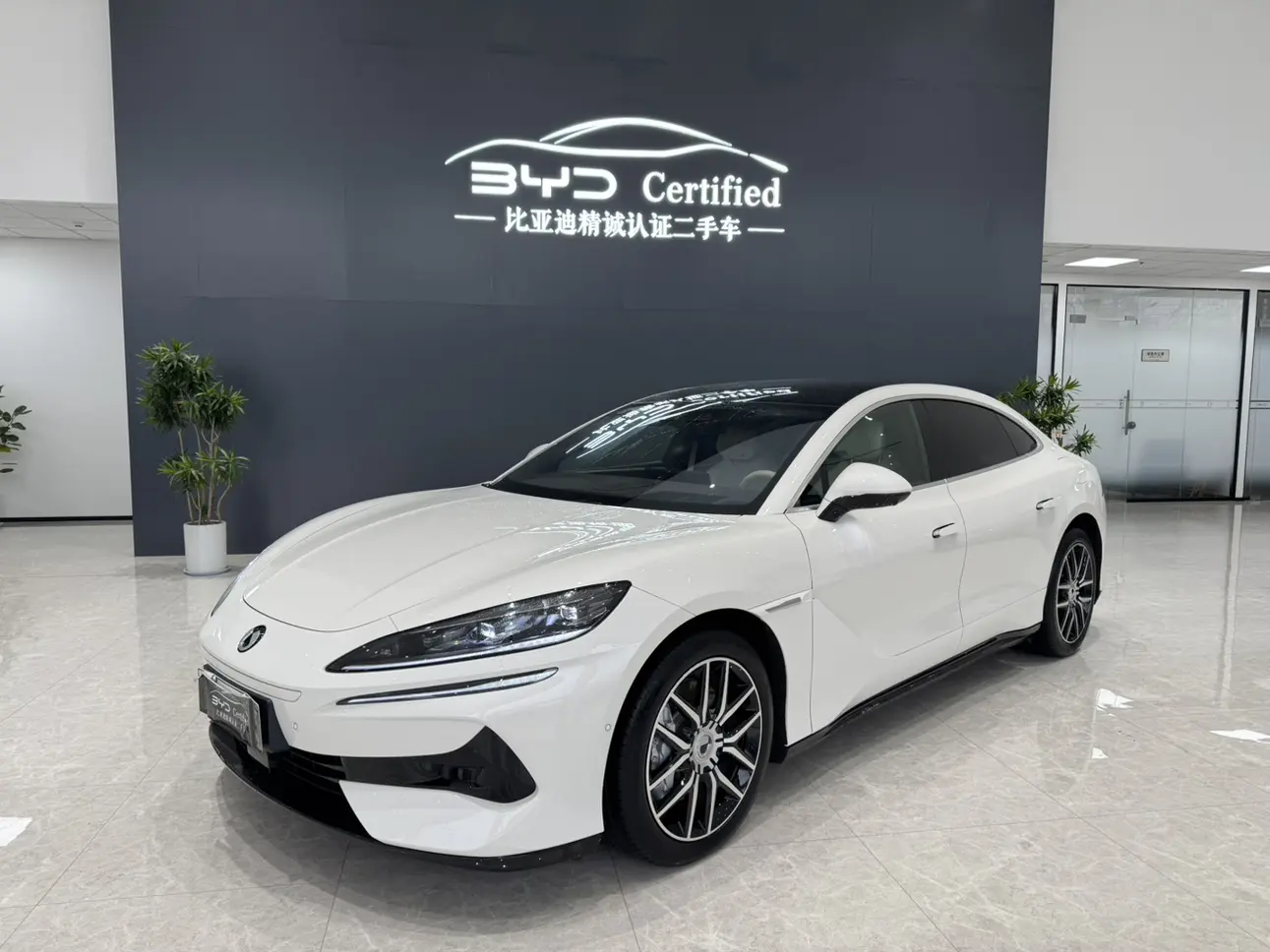 Denza Tengzhong Z9 DM  из Китая