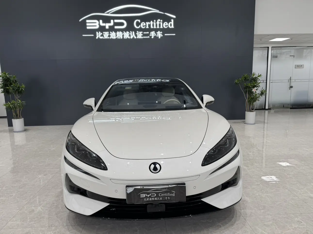 Denza Tengzhong Z9 DM  из Китая