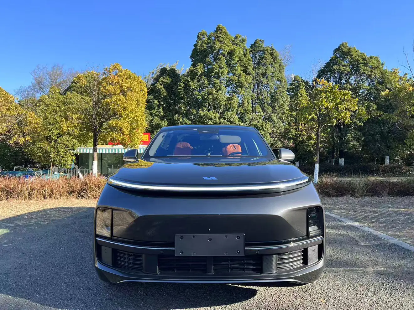 Li L9 (Ideal L9)  из Китая