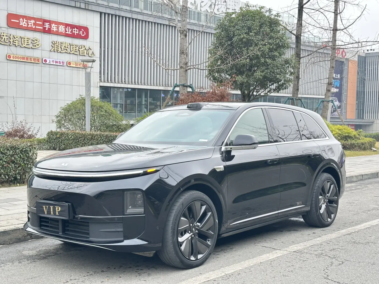 Li L6 (Ideal L6)  из Китая