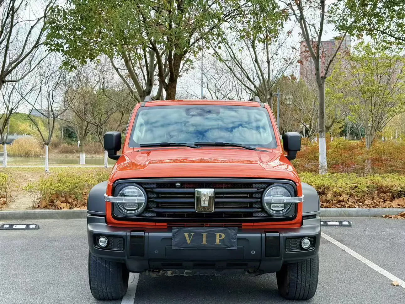 Tank 300  из Китая