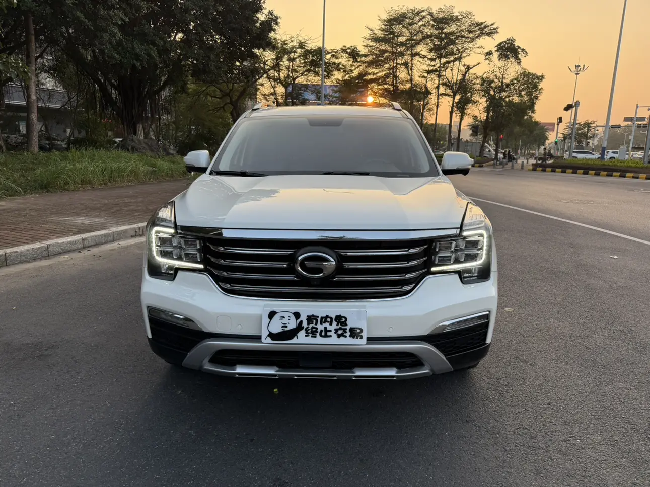 GAC Trumpchi GS8  из Китая