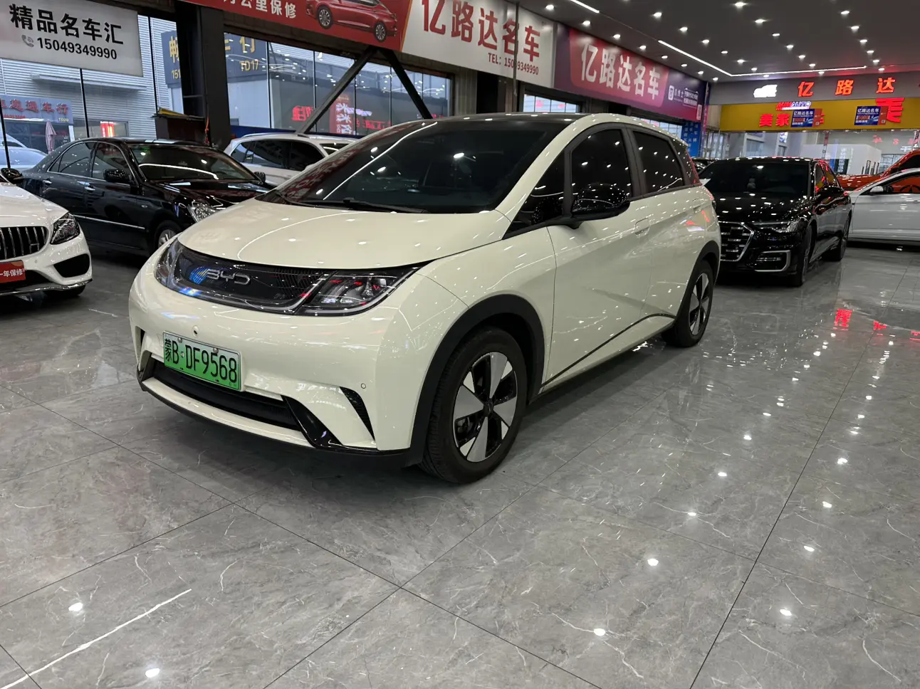 BYD Dolphin  из Китая