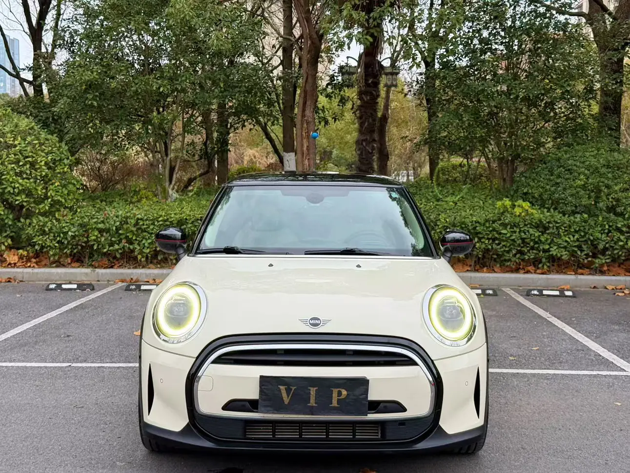MINI 