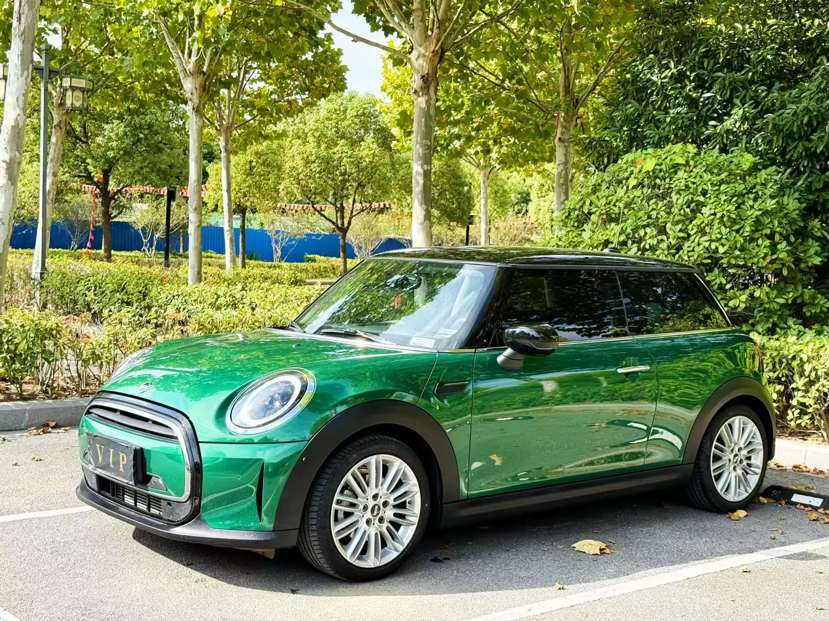 MINI MINI