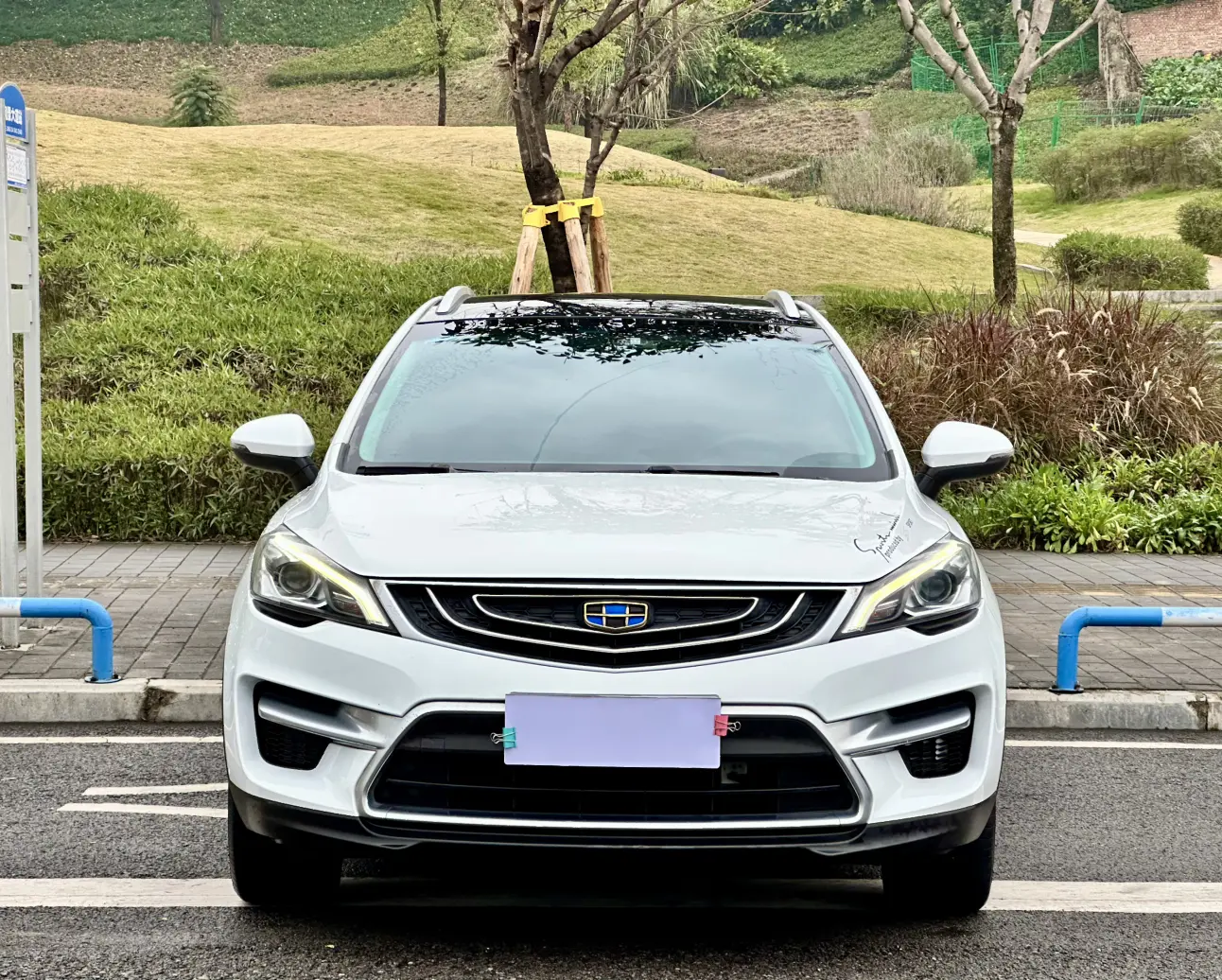 Geely Emgrand GS  из Китая