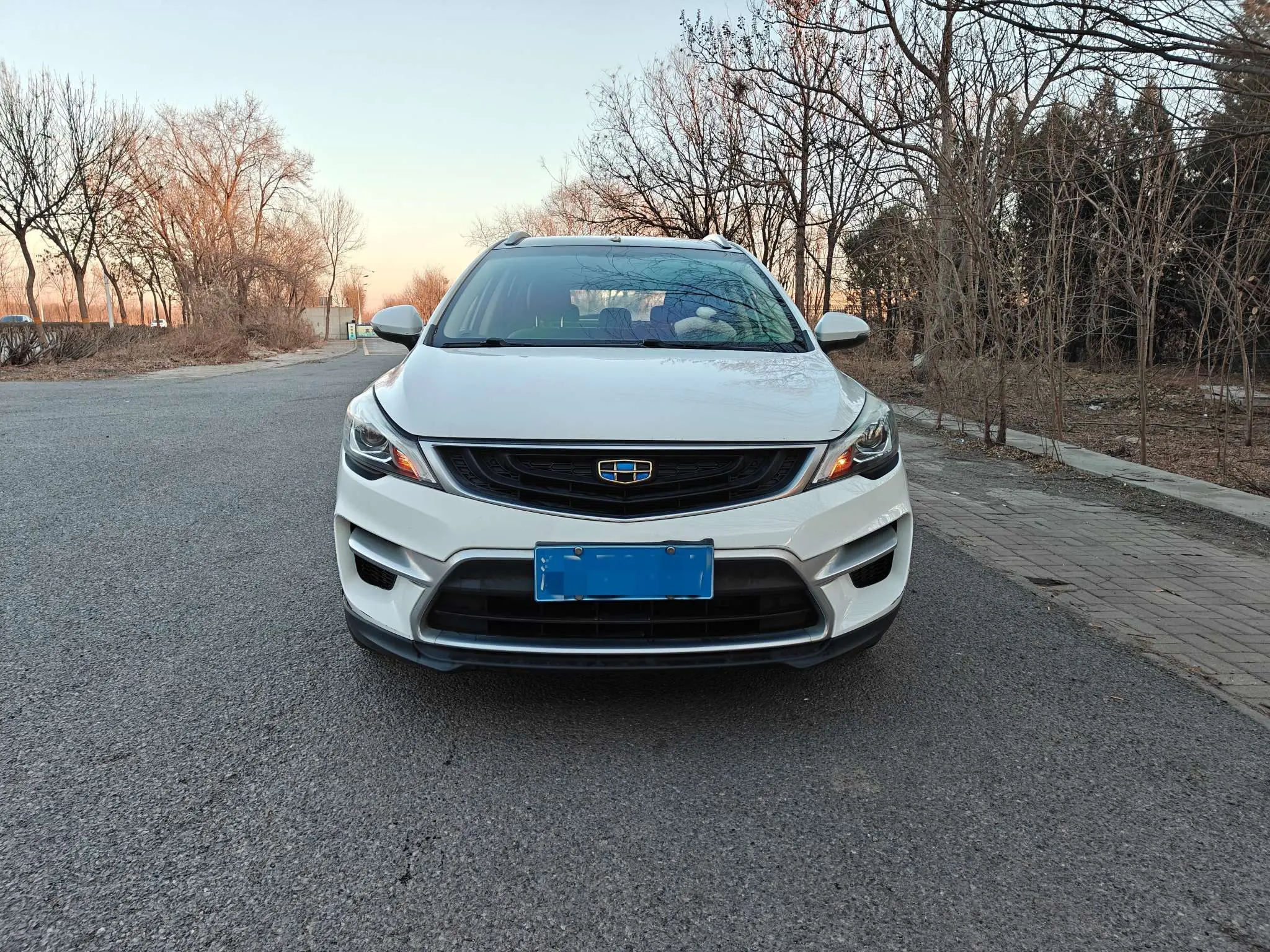 Geely Emgrand GS  из Китая