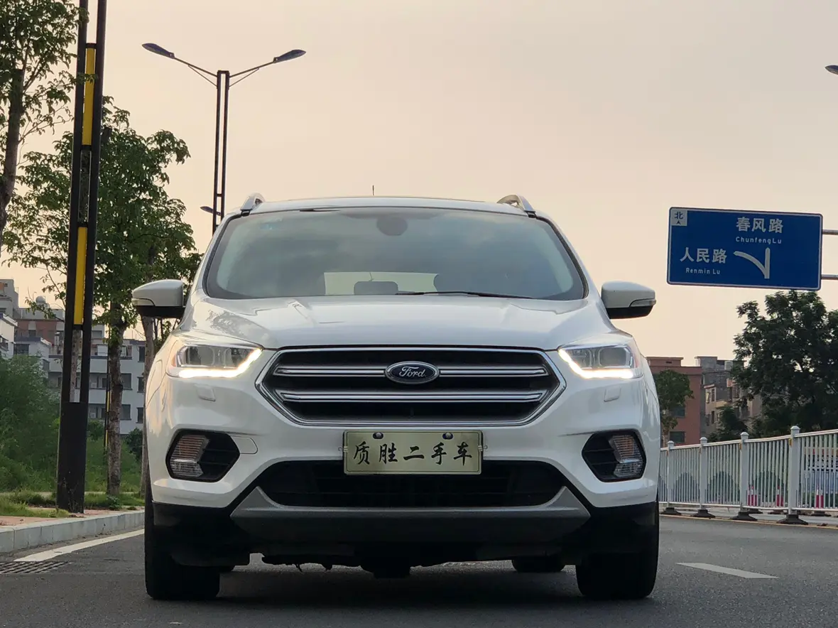 Ford Wing tiger  из Китая