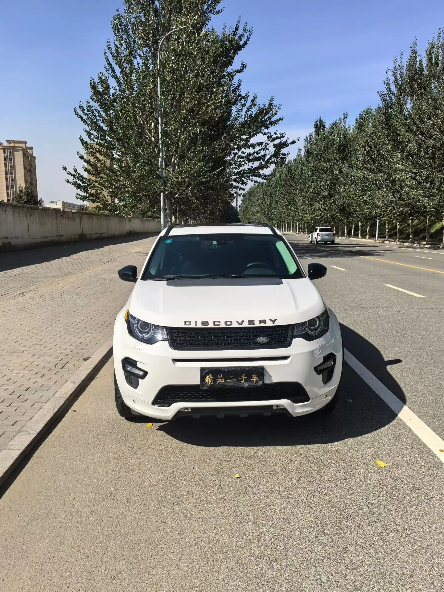 Land Rover Discover the magic  из Китая