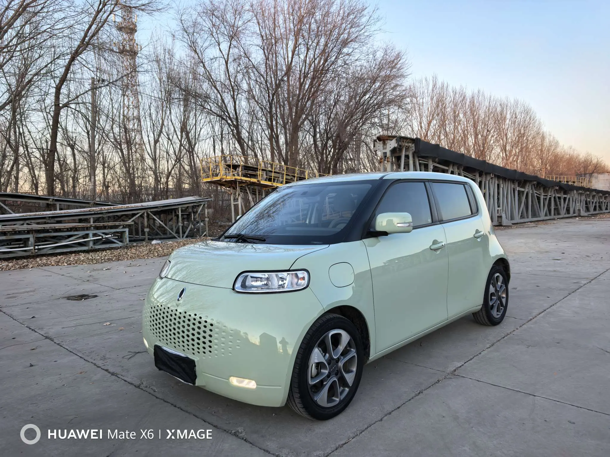 ORA Euler white cat  из Китая