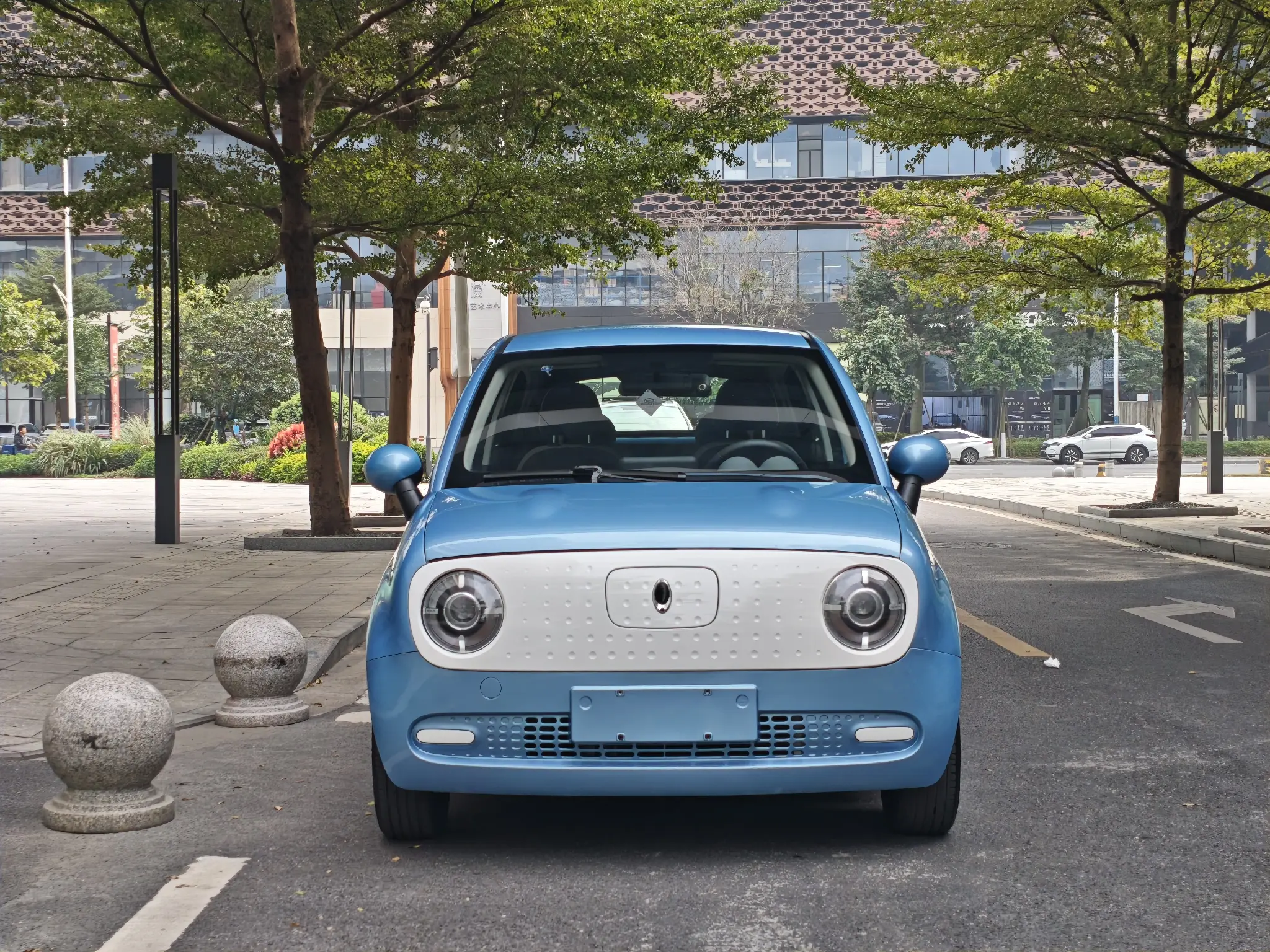 ORA Euler black cat  из Китая