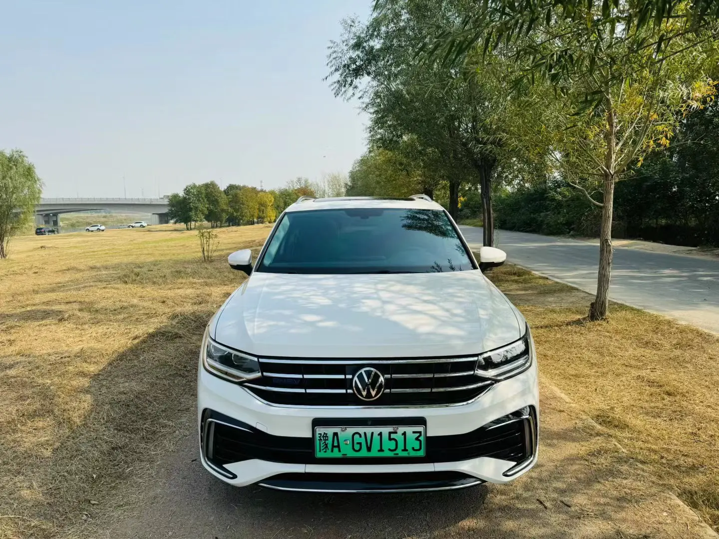 Volkswagen Tiguan L PHEV  из Китая
