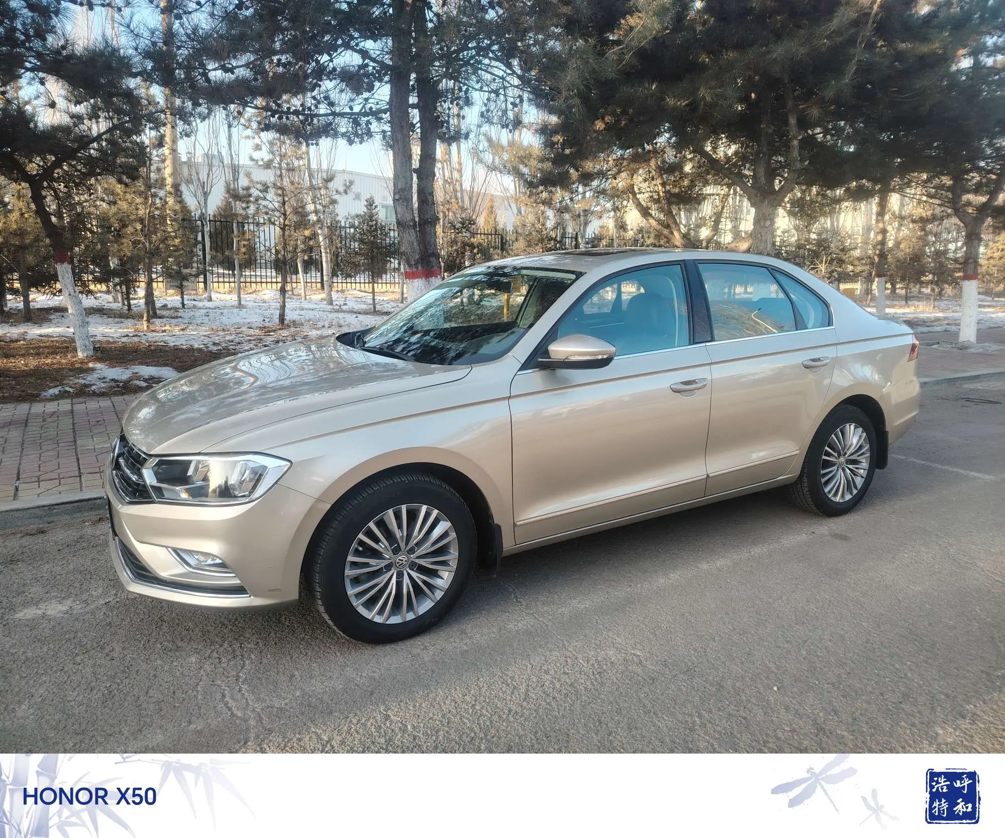 Volkswagen Bora  из Китая