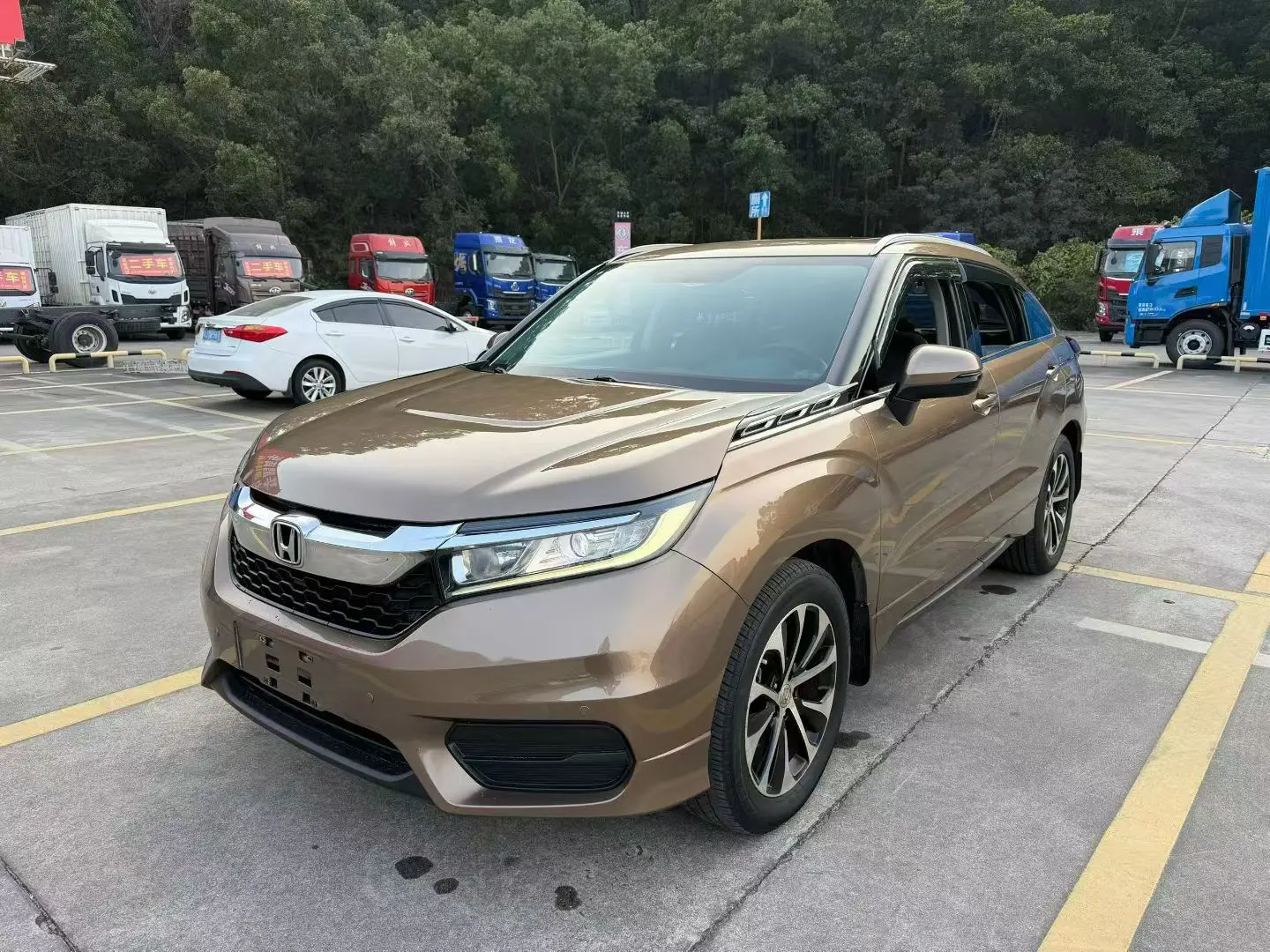 Honda Avancier (Crown Road)  из Китая