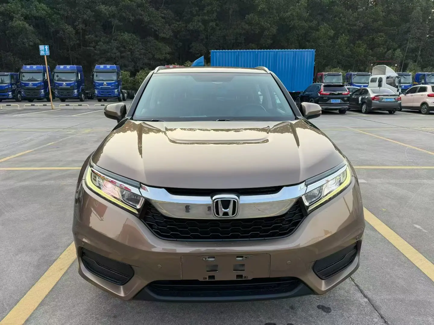 Honda Avancier (Crown Road)  из Китая