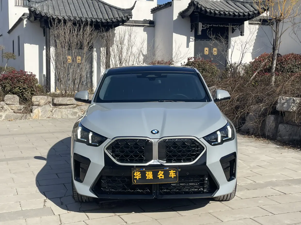 BMW X2