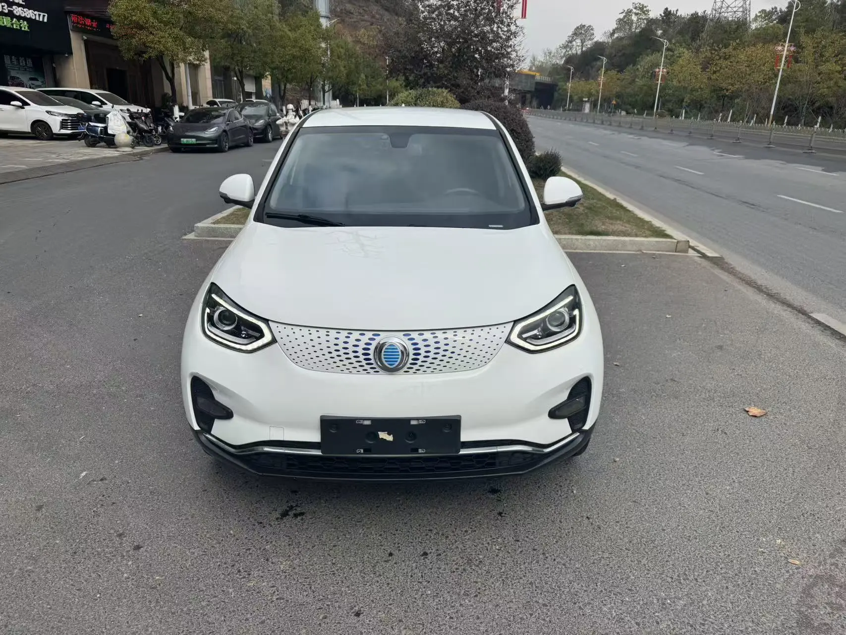 Zedriv Guoji Zhijun GX5  из Китая