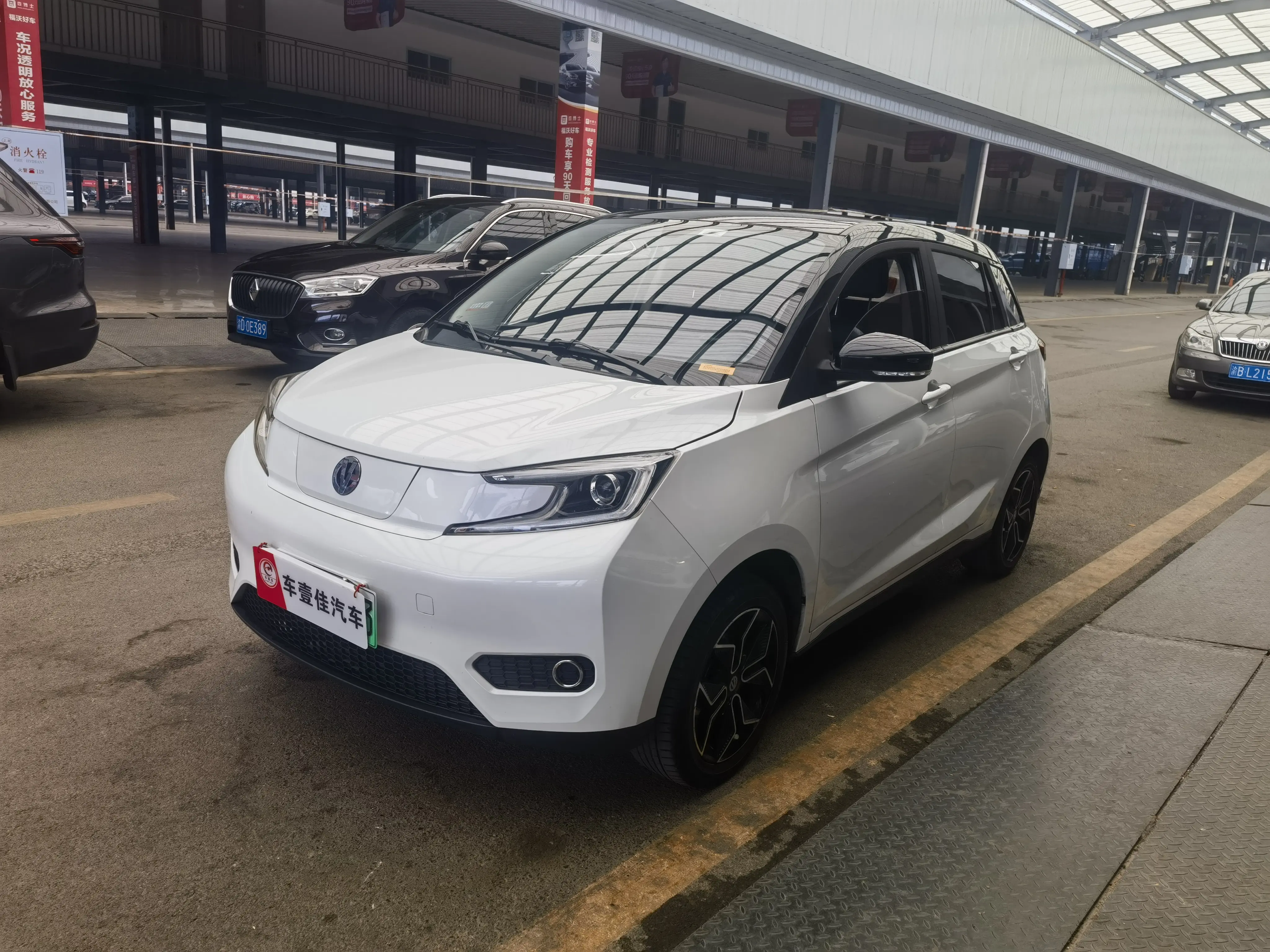 Electric House YOUNG Guang Xiaoxin  из Китая