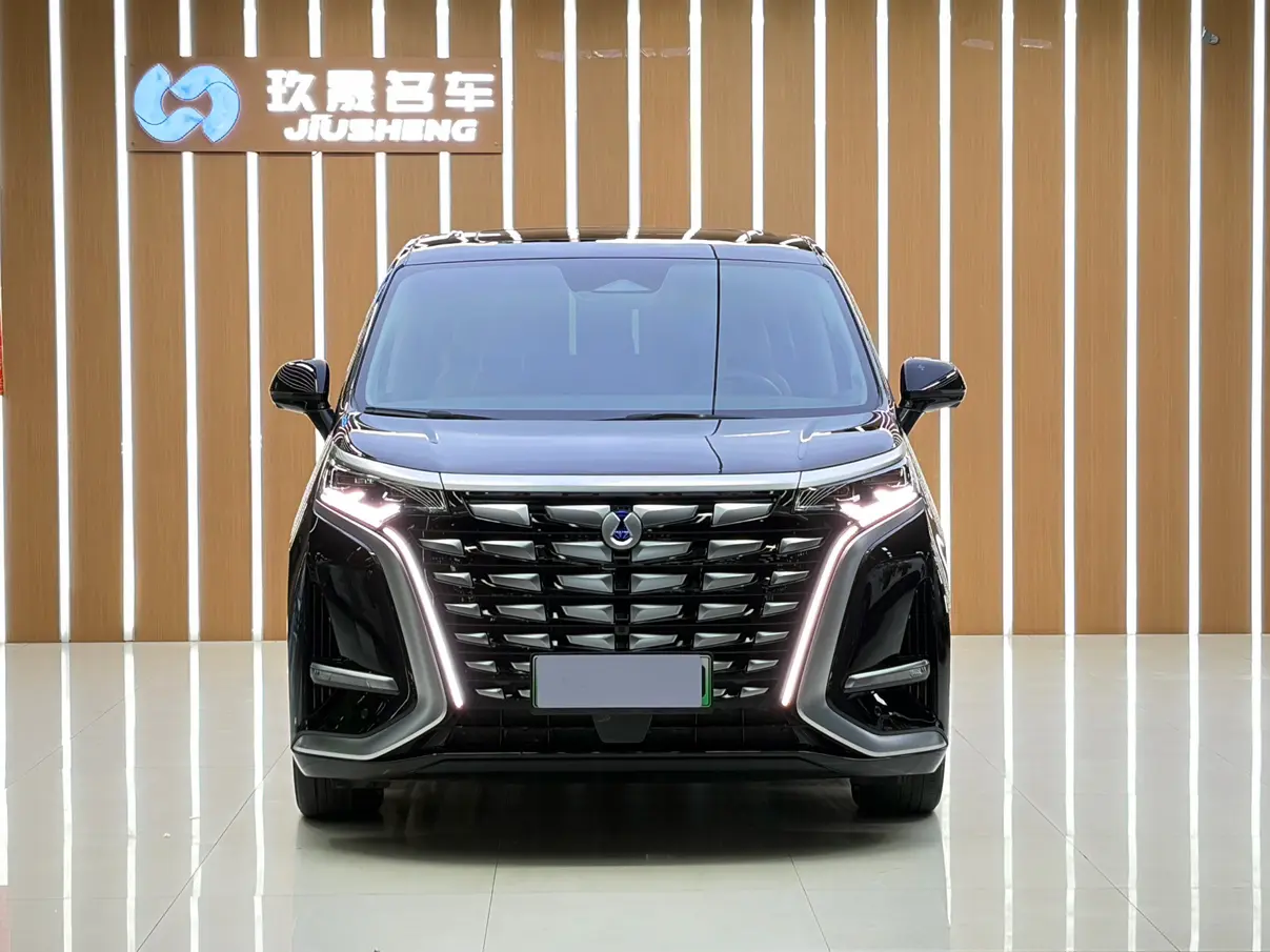 Denza D9 DM  из Китая